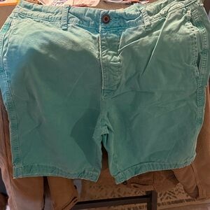 Hollister Men's Teal Flat Front Shorts